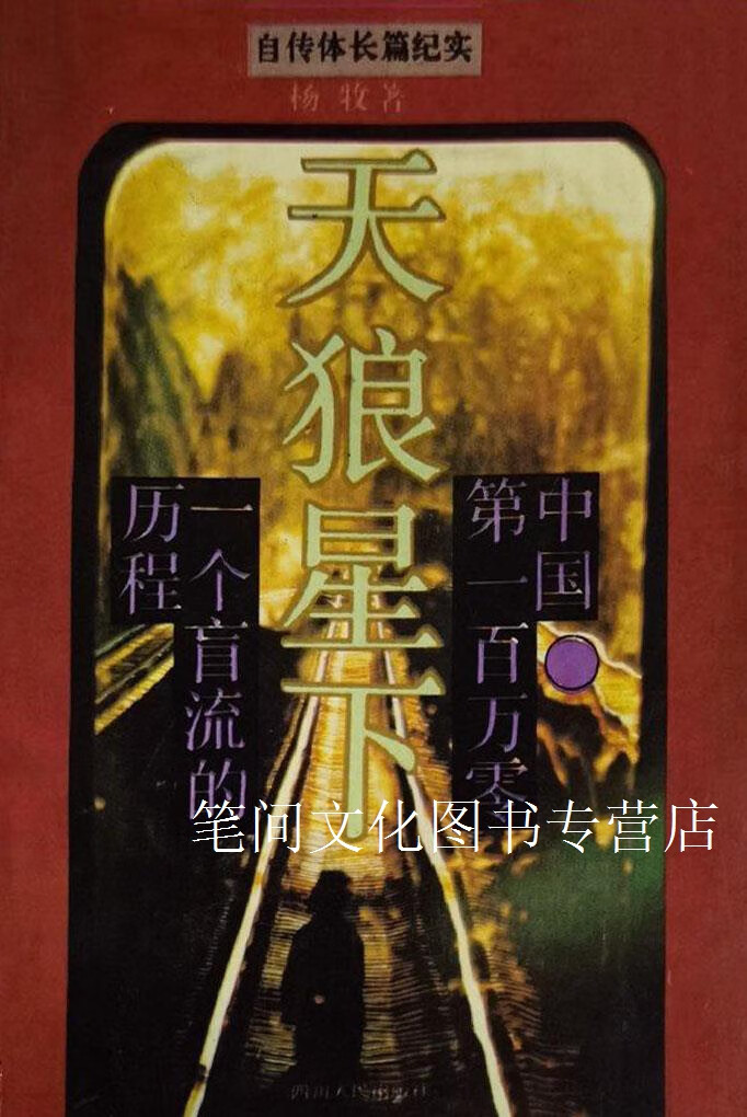 天狼星下中国 百万零一个盲流的历程