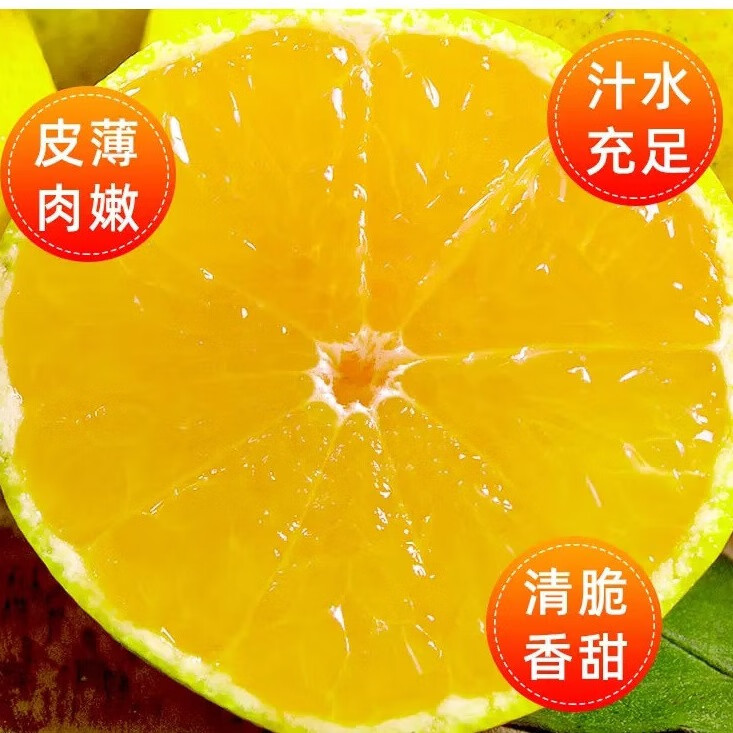 正宗广西皇帝柑净重3斤