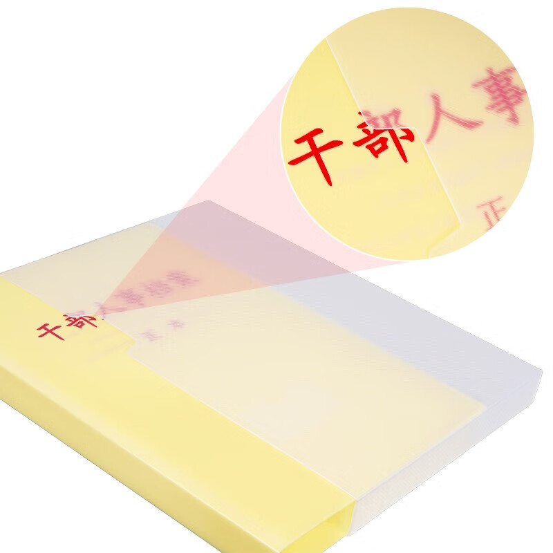 西玛（SIMAA）干部人事档案盒三柱蛇簧夹人事档案盒 A4新标准干部廉政职工党员档案盒定制10个装 其他档案盒定制请联系客服