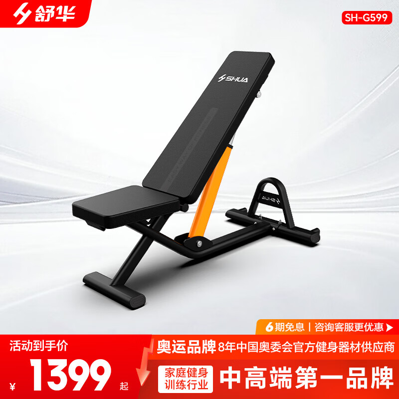 舒华（SHUA）舒华哑铃凳 多功能仰卧板 运动健身器材腹肌神器 仰卧起坐板 SH-G599高端哑铃凳