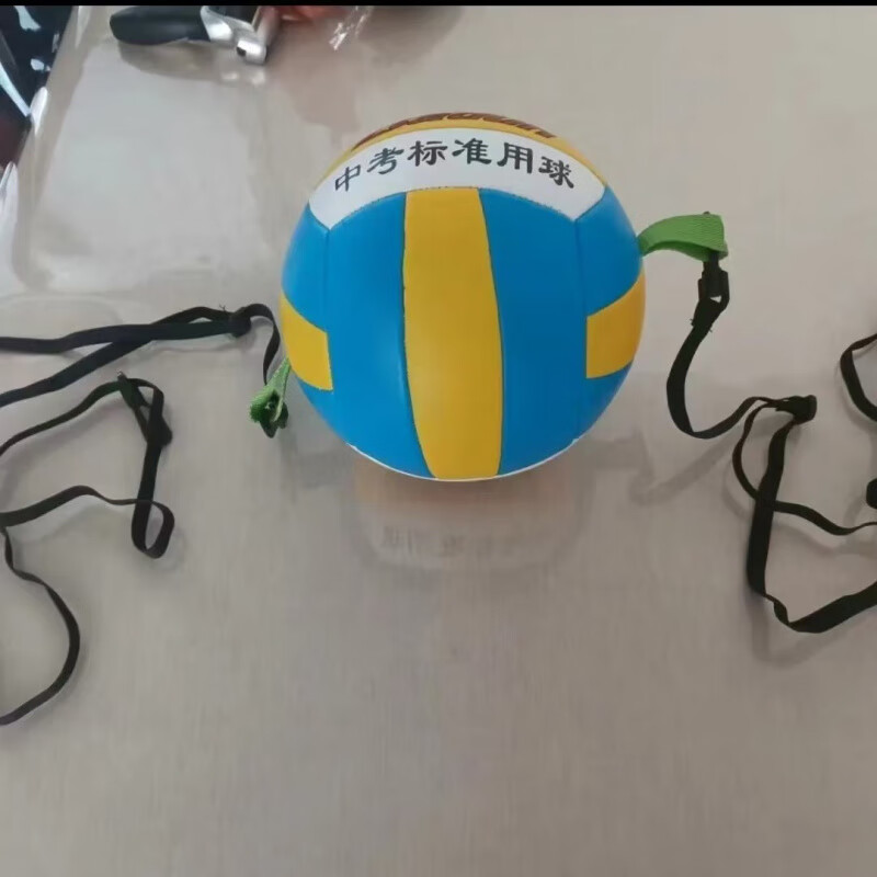泰瑞格排球扣球训练器 儿童练习辅助神器调节跳跃传球自练气排球 5号训练普通排球+带