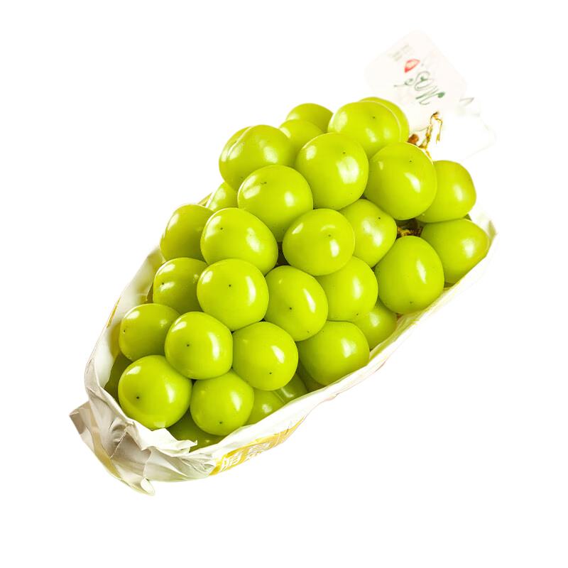 ���ش���������õ������������ӡˮ��������4.8�ﵥ����12g+Դͷֱ��