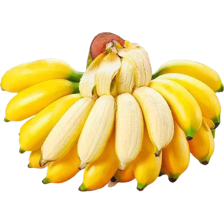 ʵ۽ 219.98Ԫ2(9.99Ԫ/)