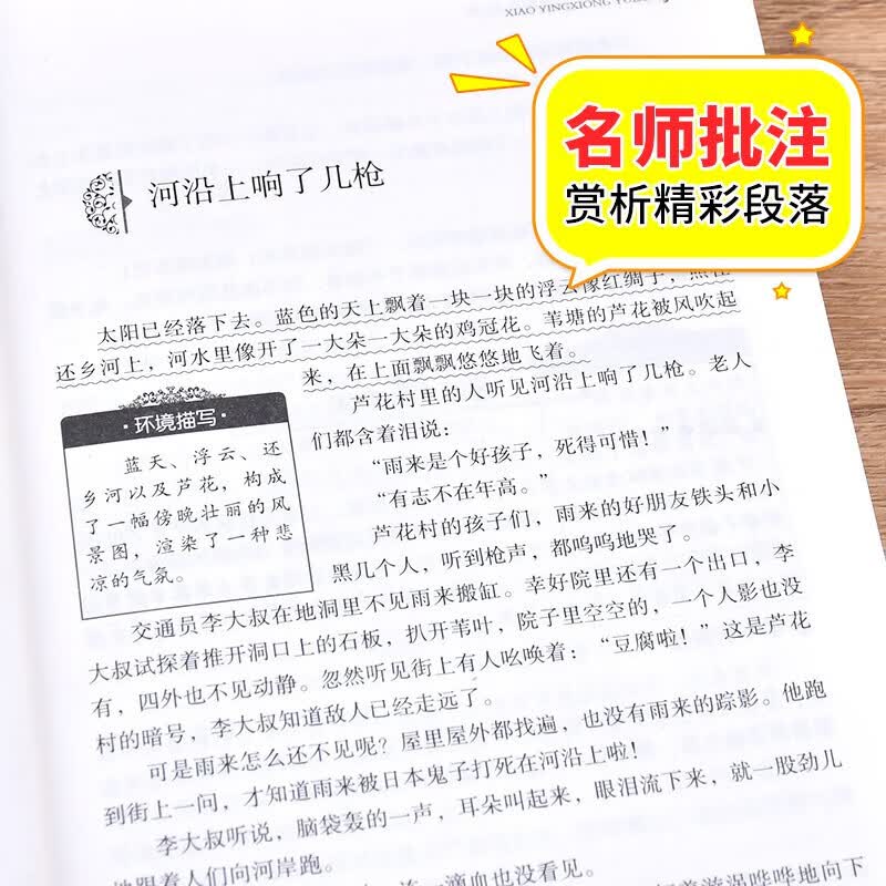 北教小雨快乐读书吧 1-6年级上下册 （年级自选）和大人一起读+小鲤鱼跳龙门+孤独的小螃蟹+一只想飞的猫+歪脑袋木头桩+小狗的小房子+安徒生童话+格林童话+稻草人+中国神话故事+希腊神话故事 快乐读书