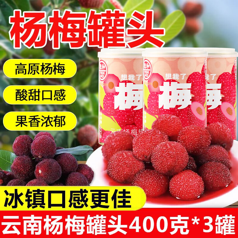 德和楊梅罐頭400g*3罐裝新鮮水果楊梅制作冰鎮(zhèn)楊梅湯楊梅汁果肉飲品 楊梅罐頭400g*3罐