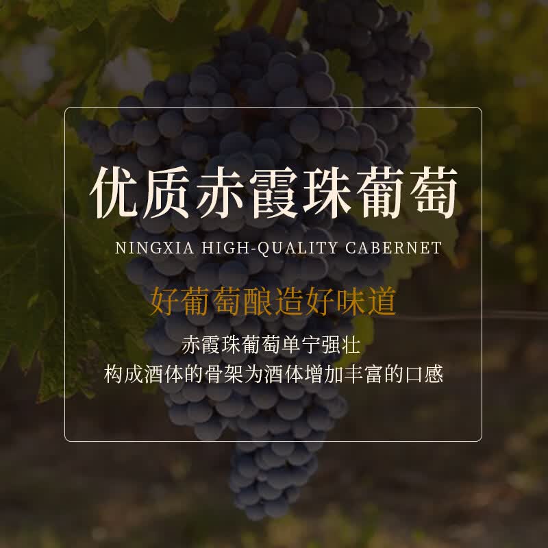 帝月葡萄烈酒3代高度数葡萄酒蒸馏酒52度宁夏贺兰山酒国产白兰地 葡萄烈酒3代 500ml*1瓶