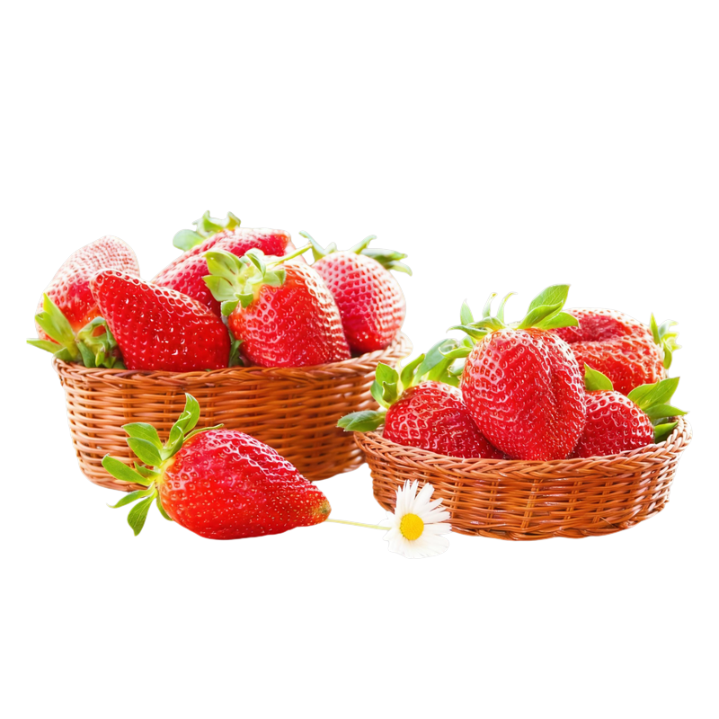 ɽ¶ݮԭղݮˮժַݮװ 3װأ2.5(20-25) 79.9Ԫ(ȯ)