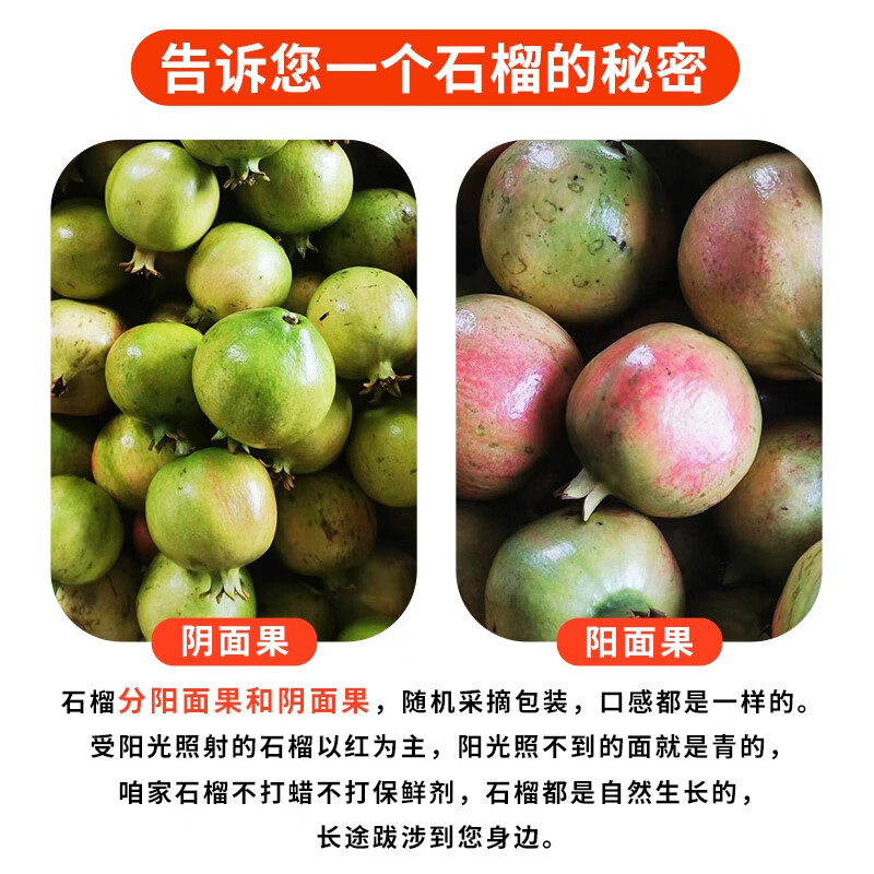 三萌果蔬突尼斯软籽石榴 四川当季新鲜红石榴水果次日达中秋节日礼盒送礼 5斤精选装【单果200g+】净重4.5斤