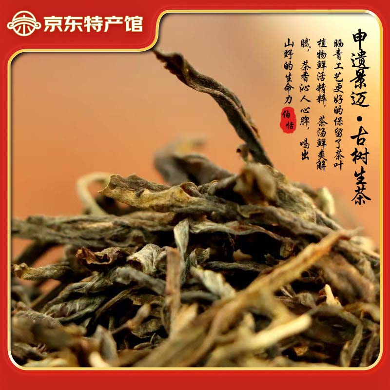 伯恬普洱茶云南景迈山生茶散茶2024年古树春茶高品质口粮茶20g*1袋 景迈山生茶20g*1袋