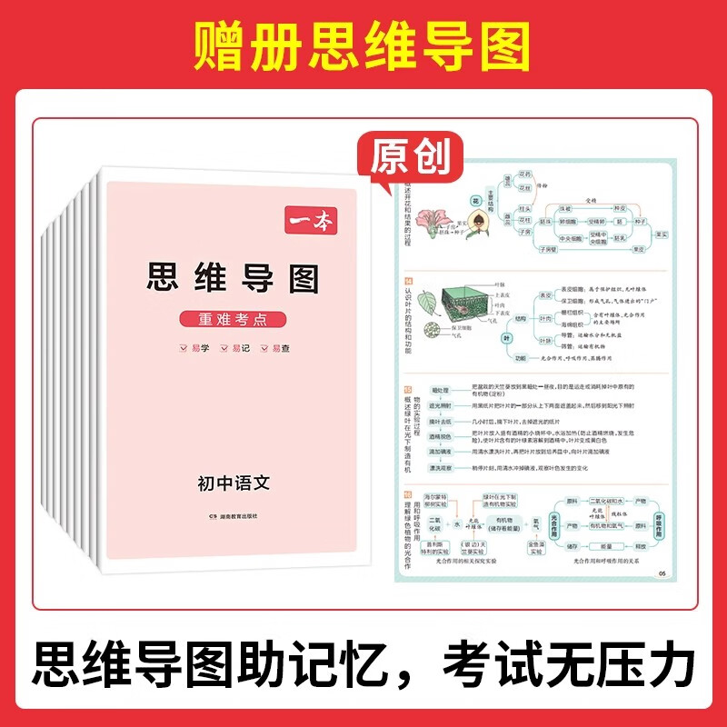 2026一本初中基础知识大盘点语文数学英语物理化学生物小四门历史地理道德与法治 初一初二初三中考总复习初中知识清单大全基础知识手册教材解析教辅资料 【26】数理化3本套装