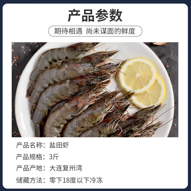 正宗盐田虾大连海鲜特产复州湾盐田虾鲜活速冻大虾急速锁鲜 复州湾盐田虾【40-50】 1500g(净重)
