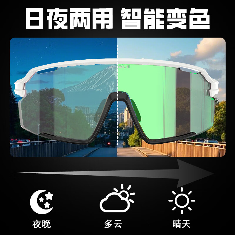 鲸鱼BS4户外运动眼镜防紫外线防强光 变色护目镜 钓鱼偏光眼镜骑行镜 变色款-镀银