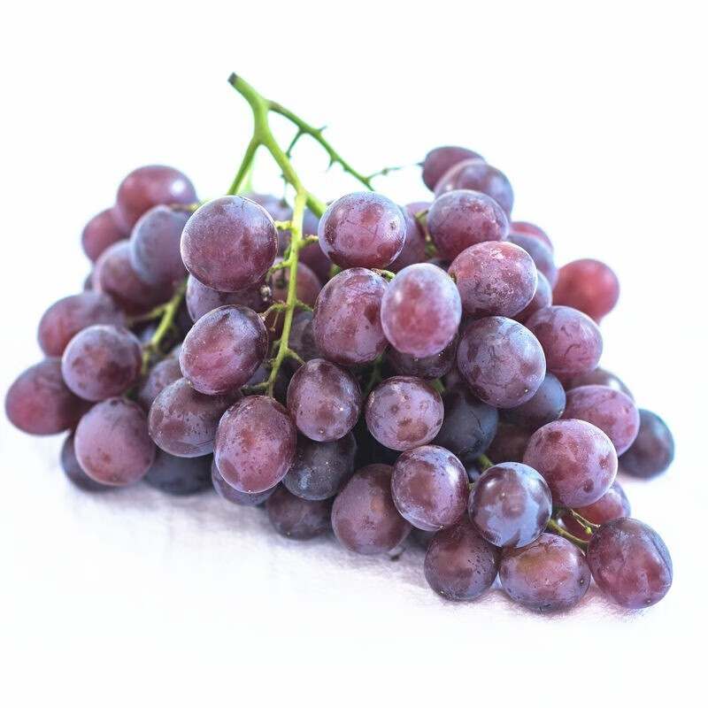 玫瑰香葡萄 山东特产平度大泽山新鲜葡萄饱满香甜整箱孕妇水果 精选装