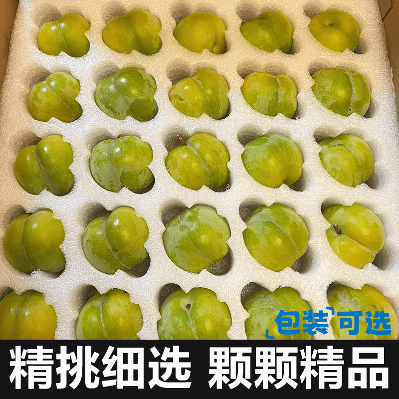 【现货】新鲜青脆李脱骨脆李子孕妇水果应季非贵州巫山新鲜酸甜WW 1斤【尝鲜实惠装】【单果10g+】净0.8斤起