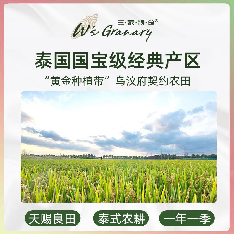 王家糧倉泰國香米烏汶府茉莉香米5kg原裝進(jìn)口長粒香大米10斤 【人氣裝*5kg】泰國烏汶府茉莉香米