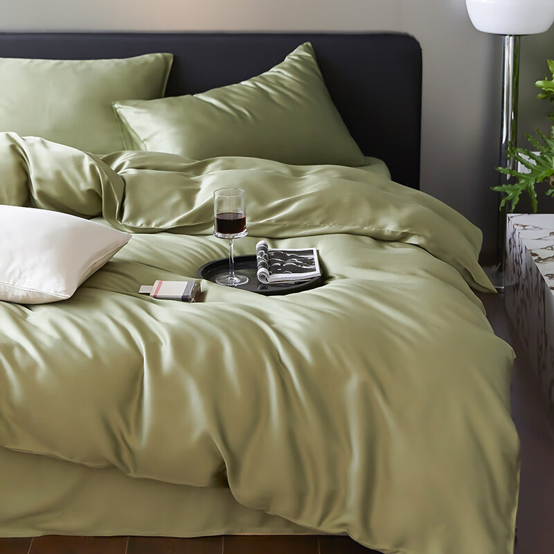 AIDLI�µ���������˿�ļ��� A��60֧���������촲�ϱ��״��� ŷ���� �ļ��� ������ ������200*230cm��