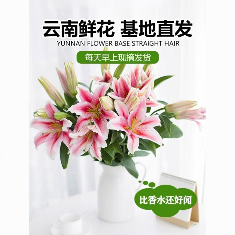 禾之润香水百合花鲜花云南昆明基地直发批鲜切家用水养插花 粉色香水百合10朵 关注店铺送进口营养液