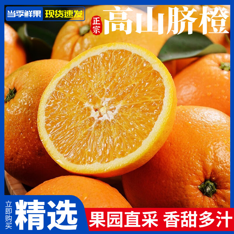 闽域寻鲜正宗四川高山脐橙新鲜橙子水果现摘现发应季榨汁橘子整箱包邮脐橙 净重4.5斤【单果60-65mm】精选装