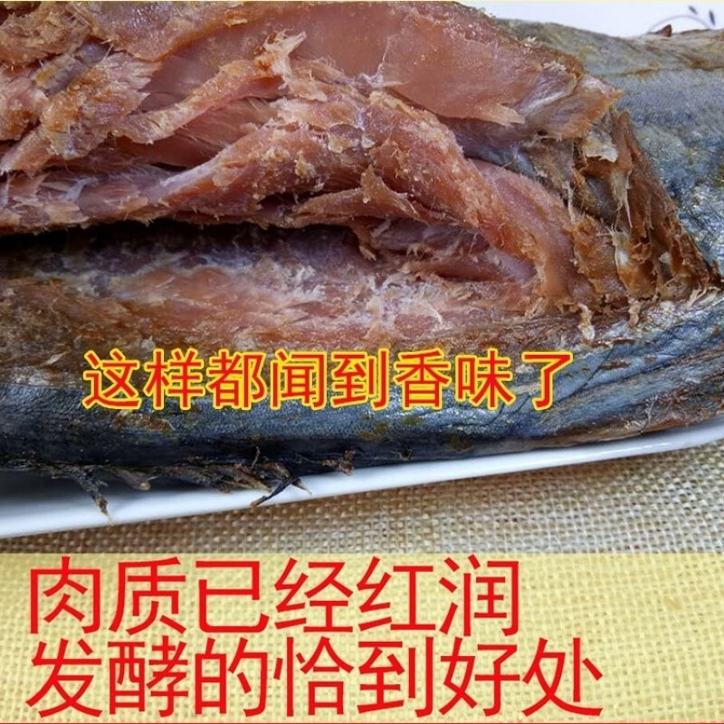咸鲅魚 咸花鲅魚老咸魚非干貨糟魚臭魚咸巴魚腌制魚山東特產(chǎn) 500g(下飯)