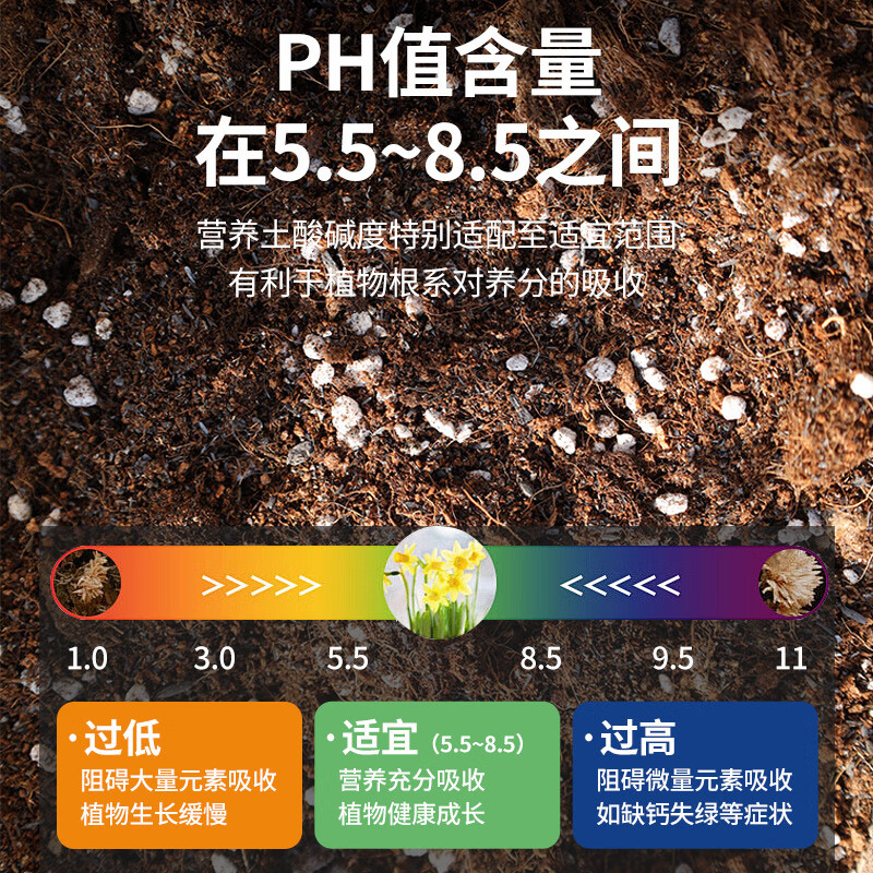 CASHW多肉专用土营养土颗粒土肉肉土壤盆栽种植土幼苗成苗老桩透气土 【大包多肉土】10L