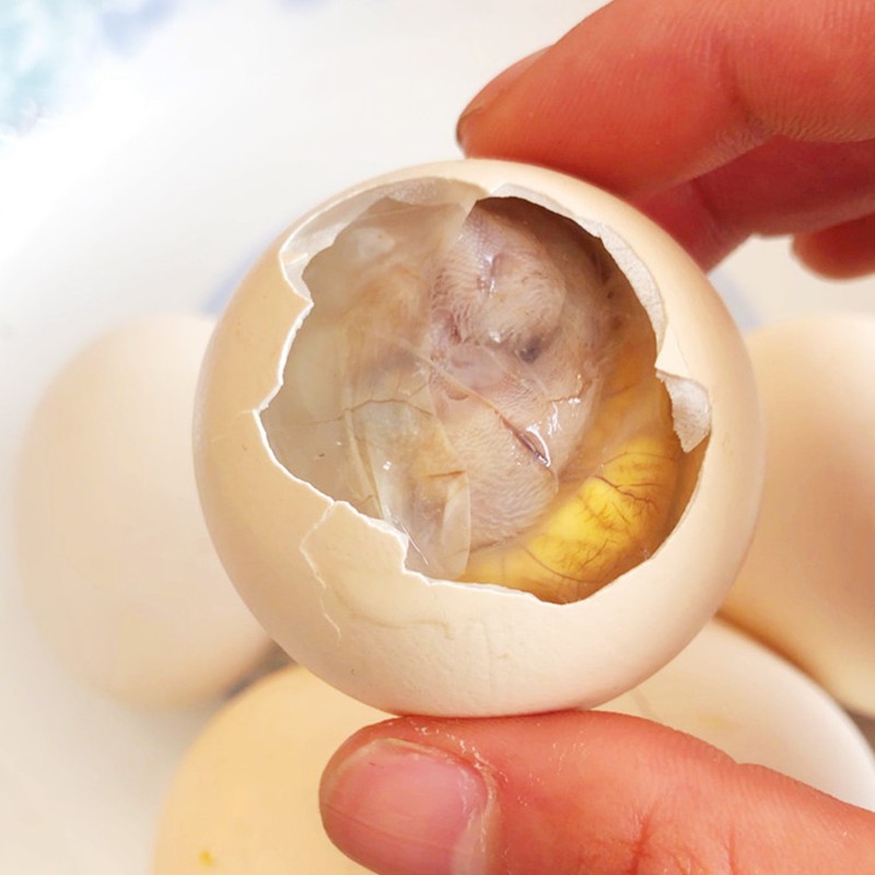 皓谦苏北农家草生的活珠子 新鲜13天鸡胚 正宗土鸡胚蛋旺鸡蛋 30枚生活珠子