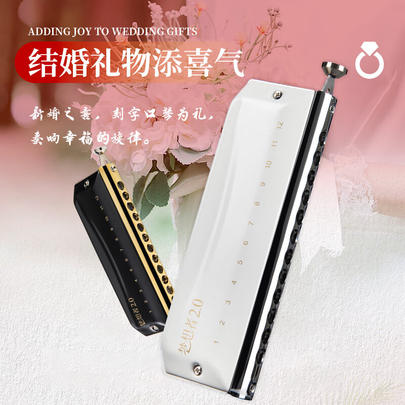 東方鼎（EAST TOP）節(jié)日刻字口琴初學(xué)者學(xué)生兒童男女自學(xué)入門口琴樂器支持 夢想者_(dá)2.0_C調(diào)刻字服務(wù)【黑白兩