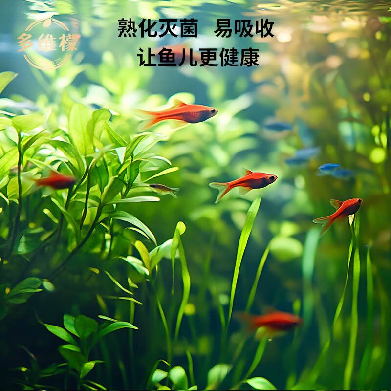 多维檬小型鱼通用高蛋白鱼食孔雀鱼斑马饲料斗鱼观赏鱼粮 1.0mm【8-15cm鱼体】 150mL