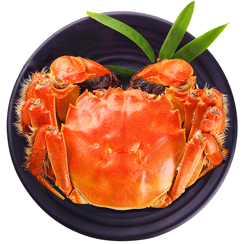 ڲзɫʻբззֻ3.5-3.8ĸ2.5-2.84ȥ