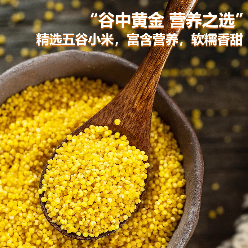 帝辰有机黄小米5斤 粒粒饱满精选优质原产地东北黑土地产新米 有机小米2.5kg