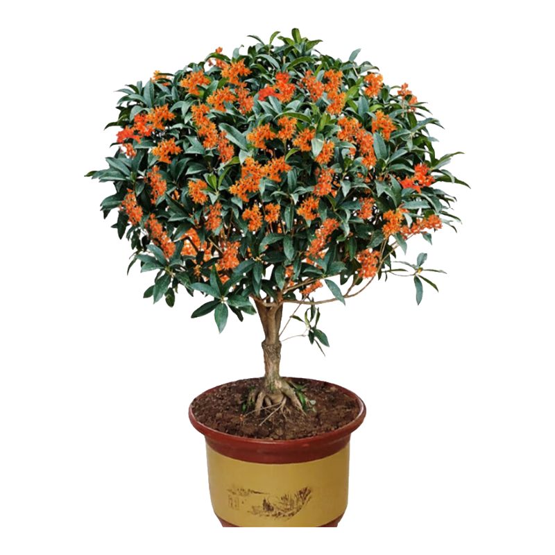 ҷ޽ӹļͺͥԺ¹𿪻𵤹Ե ״Ԫ졾Ʒ 4ִ֡ͻŹͻࡿ