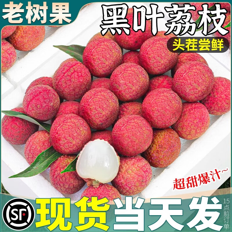 JD冷链黑叶荔枝福建新鲜现摘现发5斤大果当季孕妇水果整箱包邮 4.5斤老树果【13-20g】