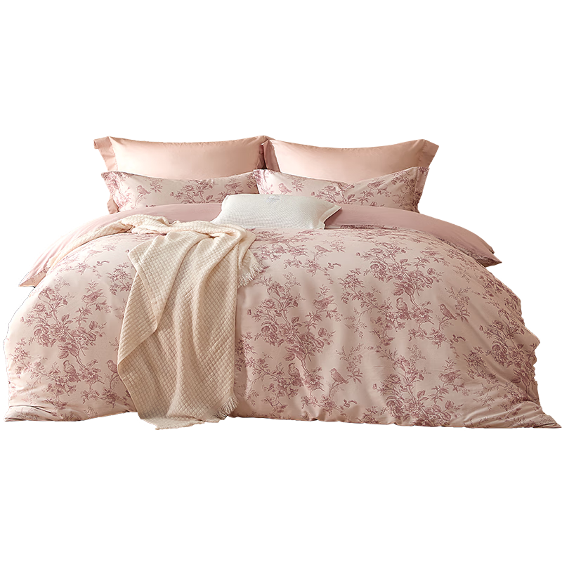 ˮǼҷı״60֧½޹A־ϱ˫˱200x230 141Ԫ(ȯ)