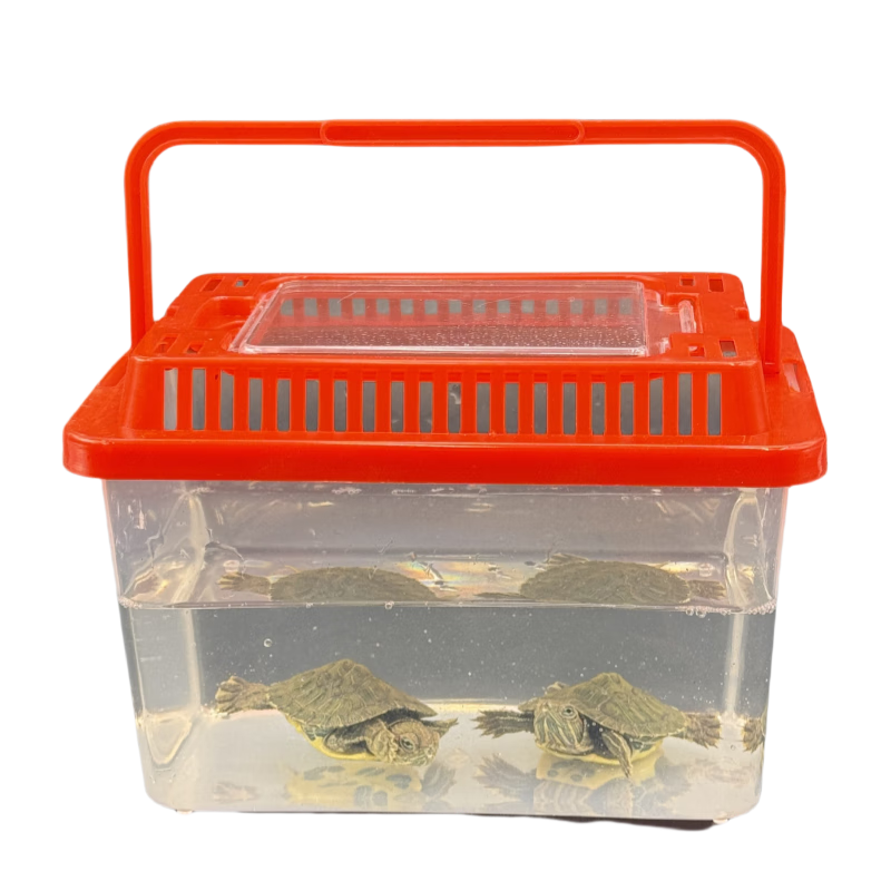 ���ڲ������ȹ��Ǽ�С�ڹ�������׳�����ͼ����л��ݹ���������껨��С�׹���� �����+2ֻС�ݹ�