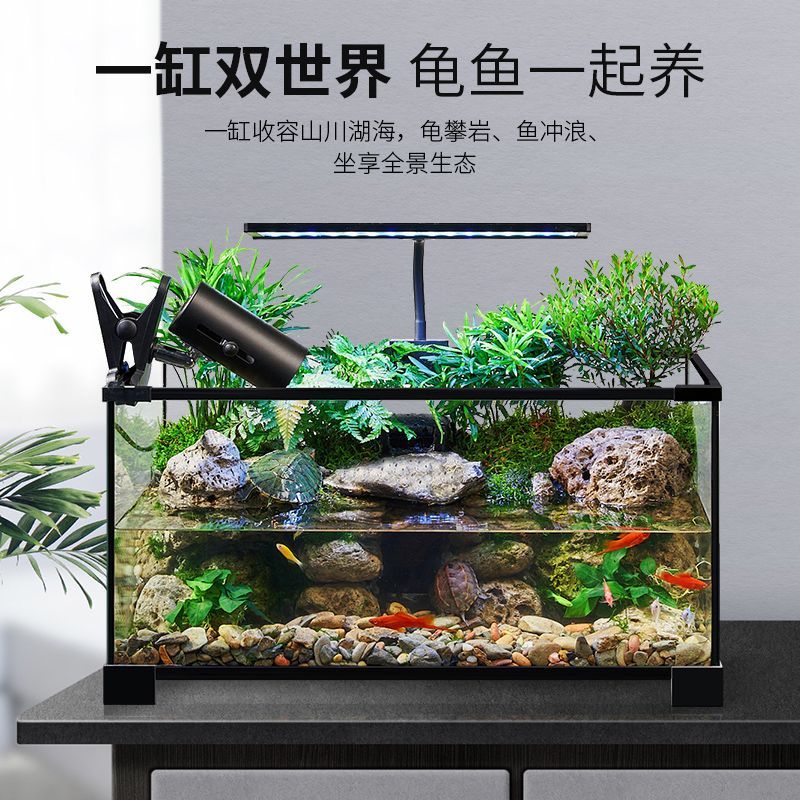 乌龟缸高清玻璃生态造景龟鱼缸一体混养生态缸客厅专用家用饲养缸 60雨林全套【缸+设备】