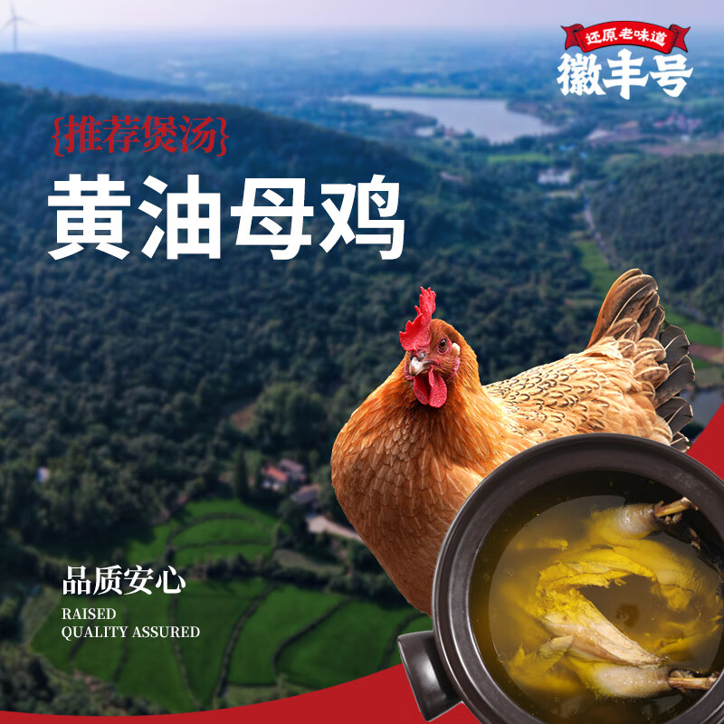 徽丰号 400天黄油老母鸡3只装共6斤 谷饲喂养急冻锁鲜生鲜鸡肉 黄油老母鸡  三只装