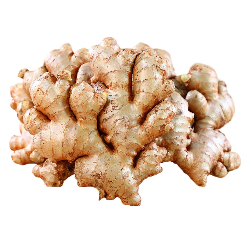 京鲜生 云南小黄姜 净重3斤 老姜生姜 蔬菜调味 源头直发包邮 