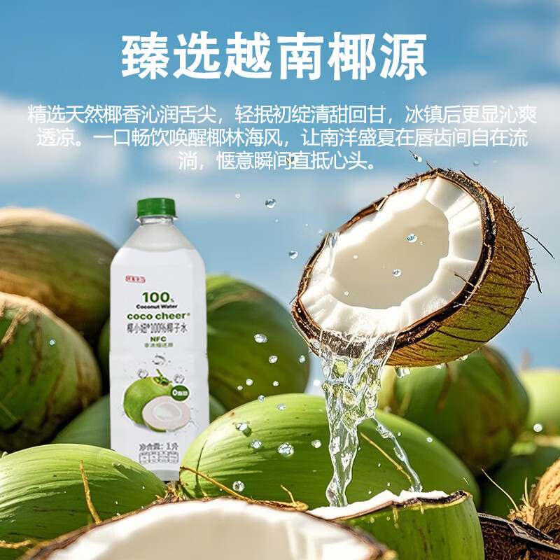 椰小妞越南原瓶进口椰小妞纯天然100%NFC青椰子水 天选火锅搭子1L量贩装 1L*6/1箱