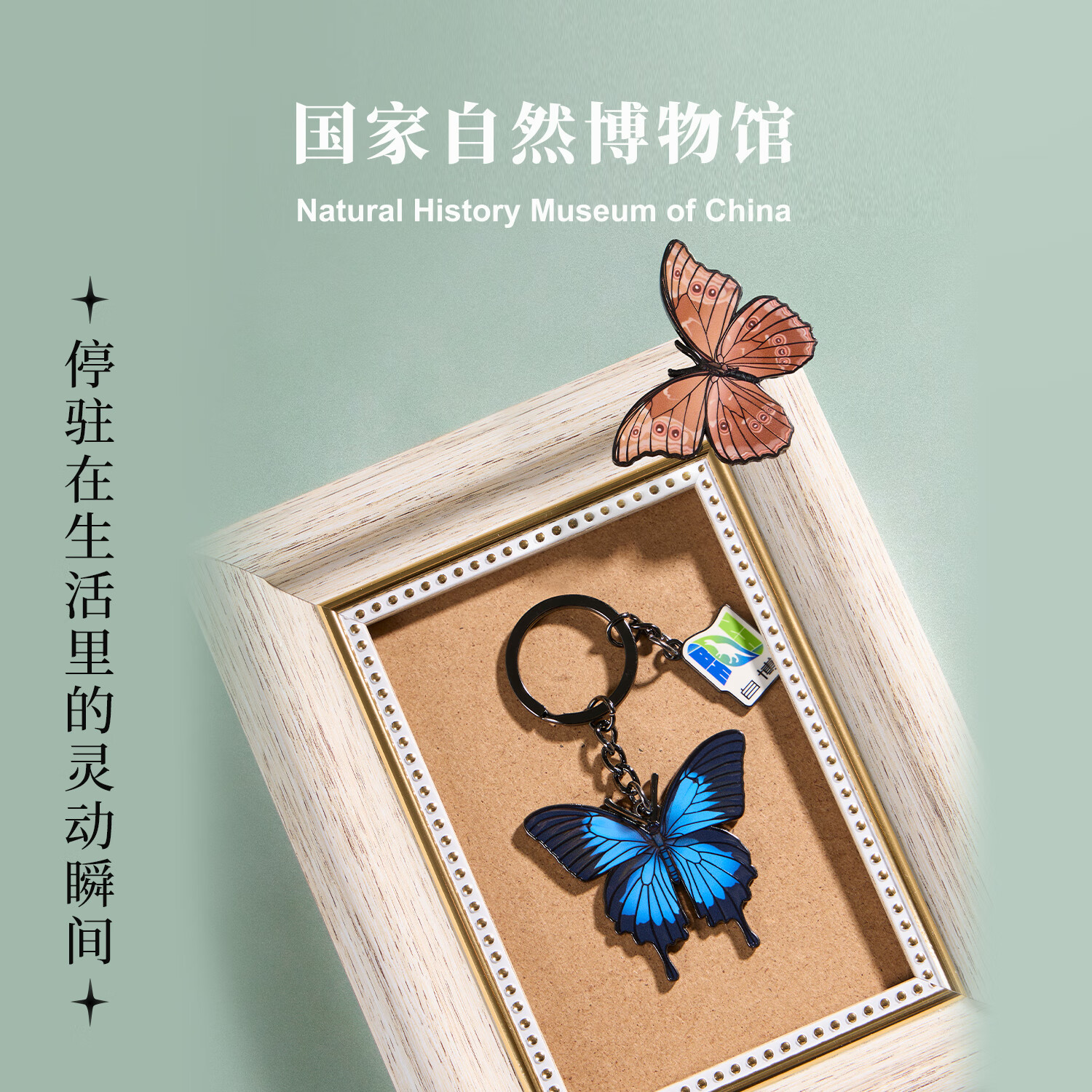 ������Ȼ����ݺ�������Կ�׿۹Ҽ� �����Ĵ����μ���Ʒ��ҵ������������ ���÷��