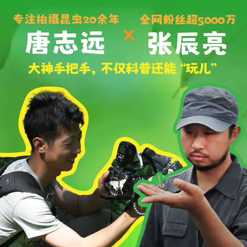 图 3