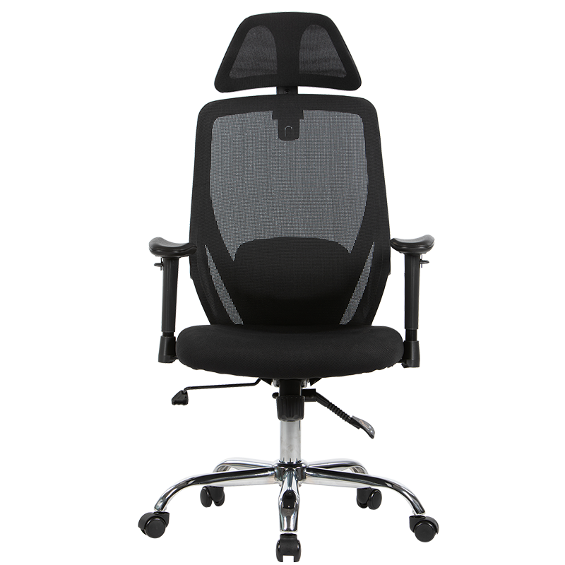 LIANFENG 联丰 DS-213CY 人体工学电脑椅 黑色