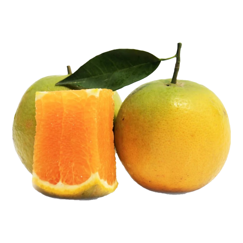 江西赣州赣南脐橙早橙橙子 当季时令水果礼盒手剥橙新鲜水果送礼 10斤[单果65-70mm]
