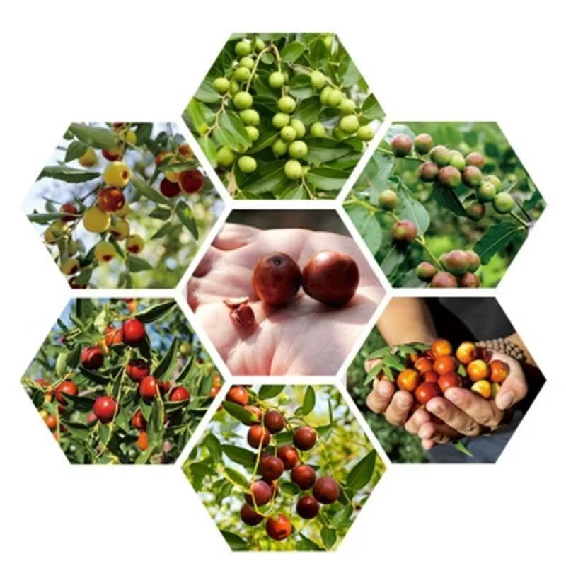 美意颂邢台特产酸枣汁美410ml酸甜可口果味饮料酸酸甜甜植物6瓶12瓶 6瓶