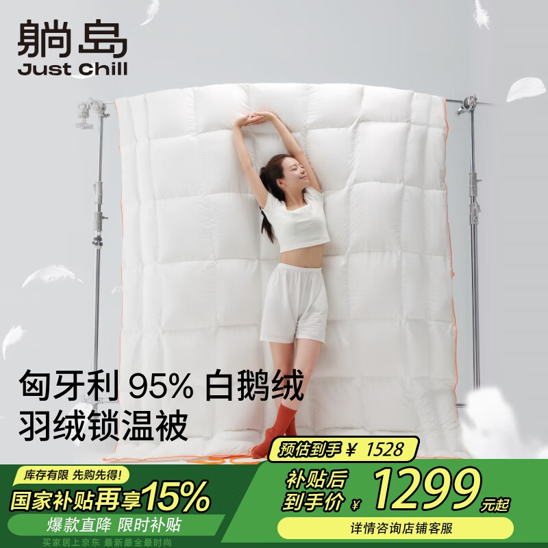ɵ ȫA95%׶ޱ  845g 220*240cm