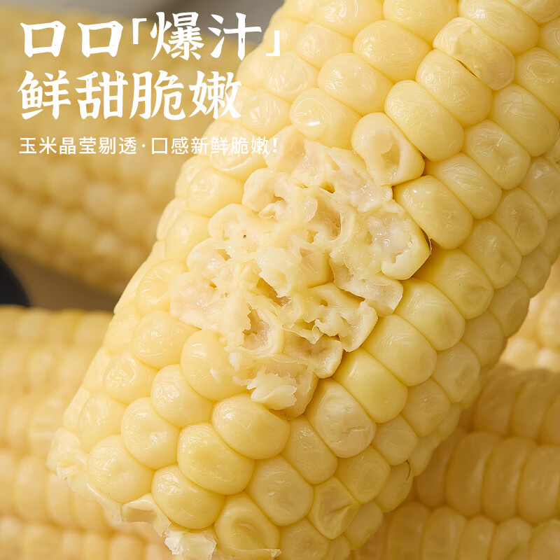 隆平 2025年当季甜糯玉米棒  非转基因独立真空包装减肥减脂杂粮早餐 【开袋即食】白甜水果玉米段 2.4斤