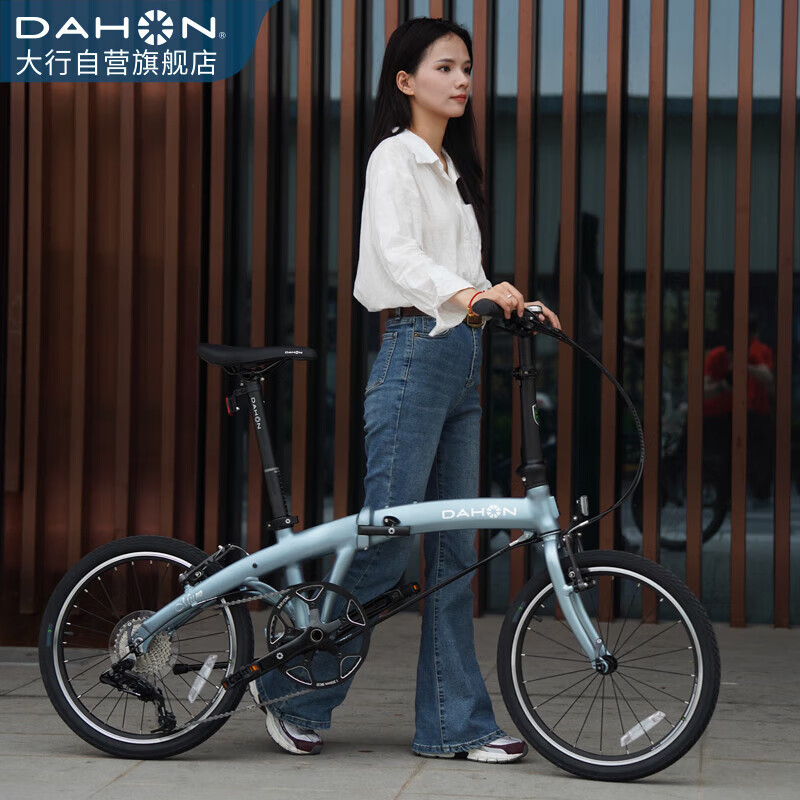 大行（DAHON）P10折叠自行车20英寸10速铝合金成人通勤V刹 PAA003 消光灰蓝