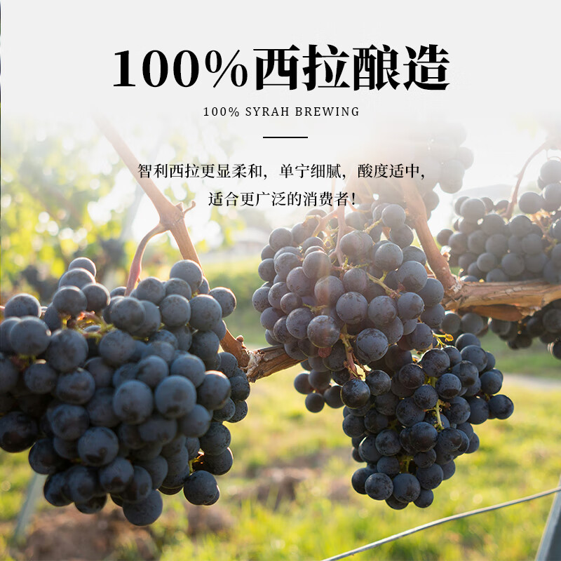 智驼【国际双金奖 智利原瓶进口】红酒干红葡萄酒赤霞珠甜美酒送礼 750ml*2瓶【智利原瓶 甜美半干】