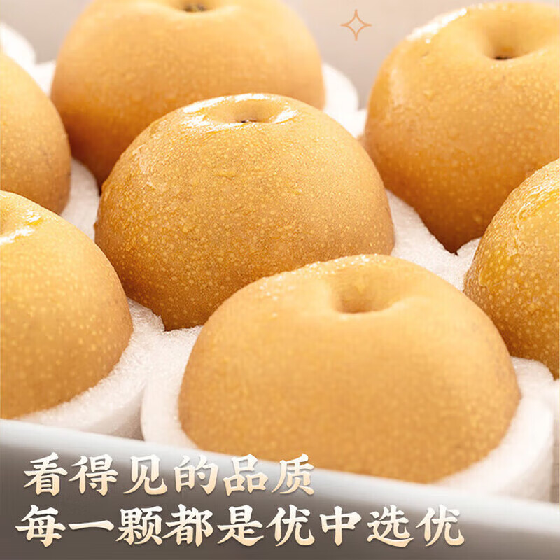 京丰味梨子 正宗山东秋月梨脆甜 当季整箱新鲜水果 中秋送礼推荐 优选果单果5-6两净重4.5-5斤