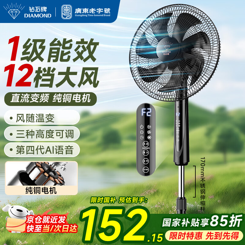 ��ʯ ����� DFS-ZFR07