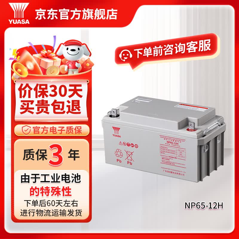 汤浅YUASA铅酸免维护蓄电池 NP系列 12V UPS电源专用门禁用报警主 NP65-12H