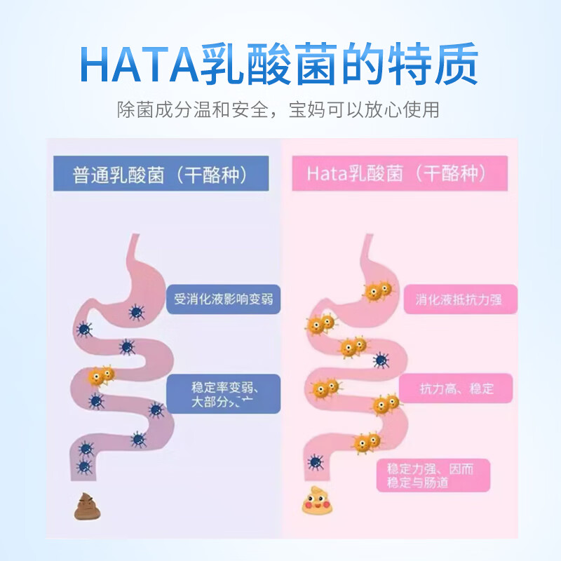 H&W HEALTH&WISDOM乳酸菌粉便秘调理肠道肠胃活性益生菌蔓越莓双歧杆菌备孕试管人群 每日乳酸菌 2g*30袋